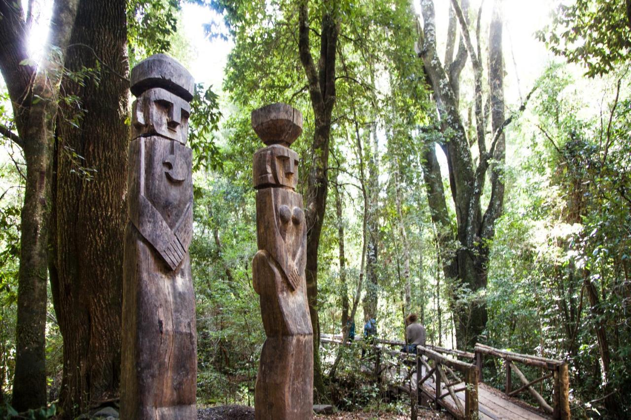 Huilo Huilo Reino Fungi Villa Puerto Fuy Exterior foto