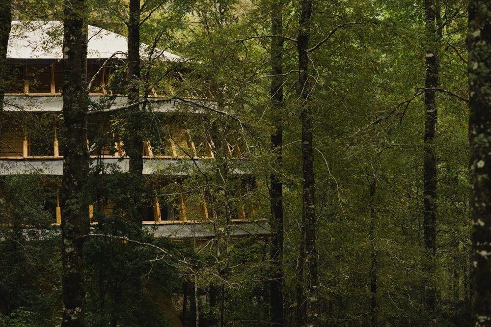 Huilo Huilo Reino Fungi Villa Puerto Fuy Exterior foto