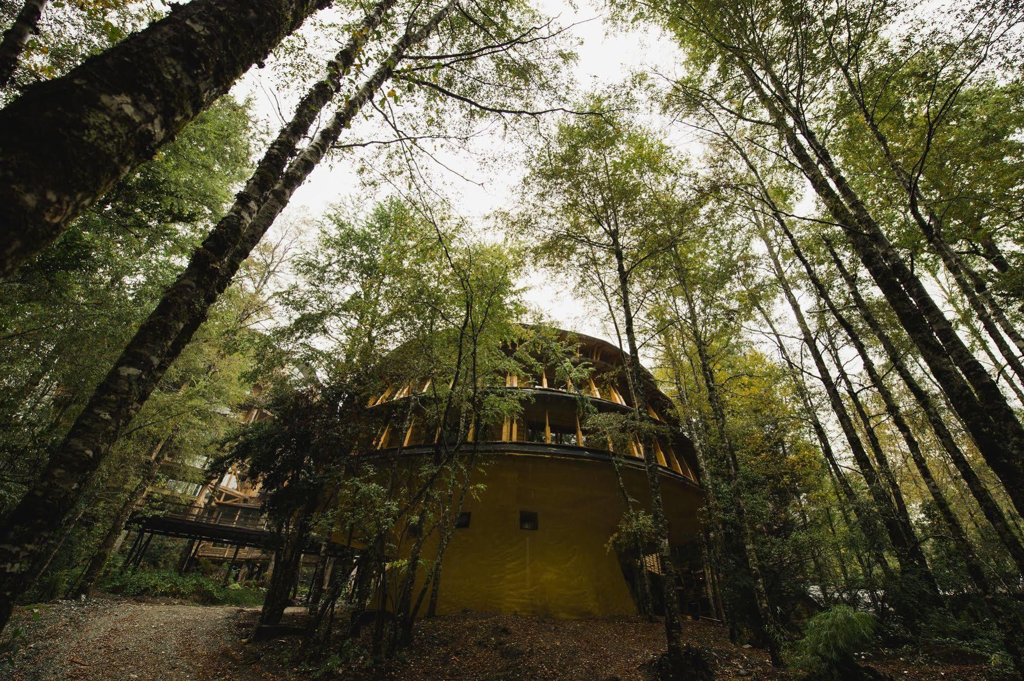Huilo Huilo Reino Fungi Villa Puerto Fuy Exterior foto